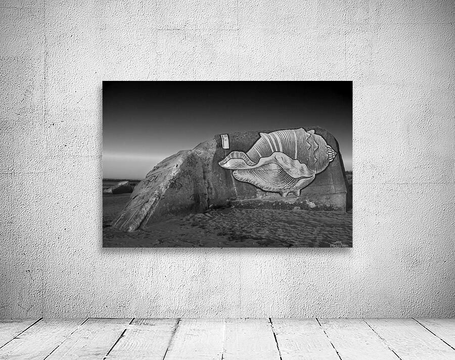 SLEEPING DOG Wall Preview