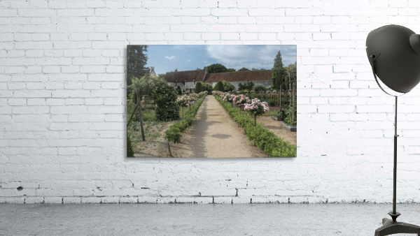 The vegetable garden Wall Preview