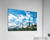 TLR 0604 Acrylic Print