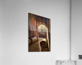 TLR 4930 2 Acrylic Print