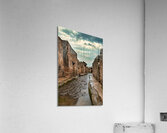 TLR 4863 Acrylic Print