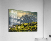 TLR 9555 Acrylic Print