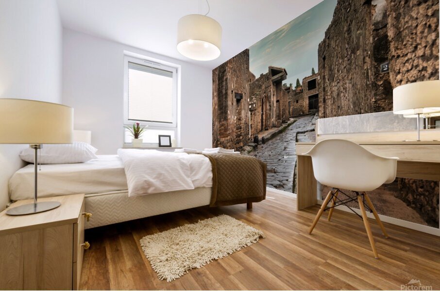 TLR 4863 Mural print