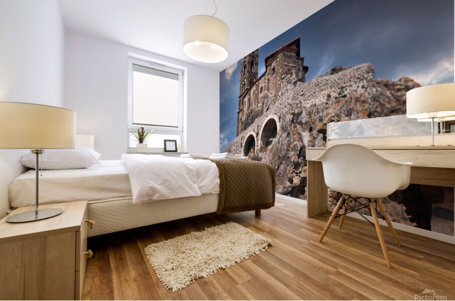 TLR 2491 Mural print