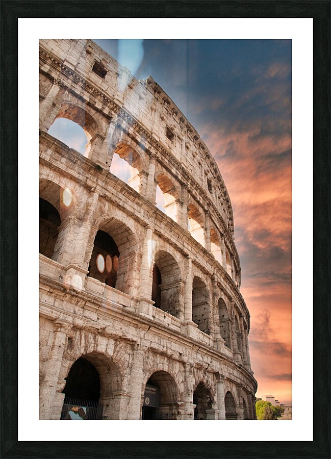 TLR 8929 Picture Frame print