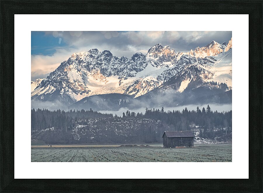 TLR 2284 Picture Frame print