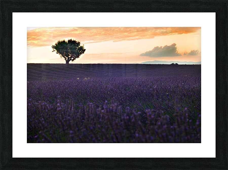  AMR9357a Picture Frame print