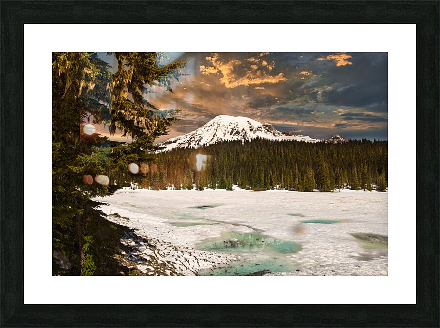 TLR 0778 Picture Frame print