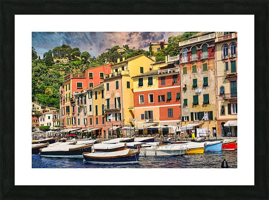 TLR 9015a Picture Frame print