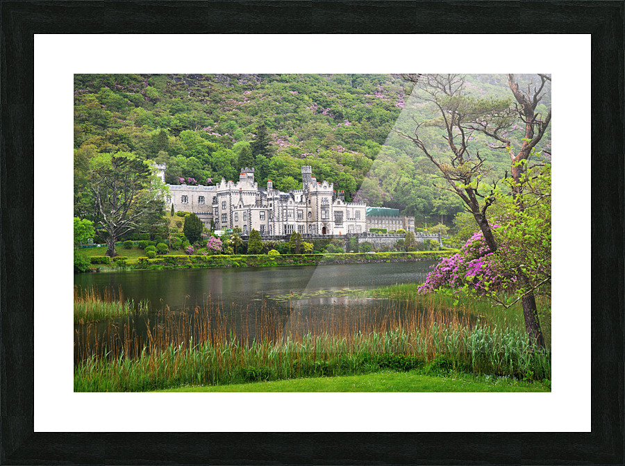 TLR 3106final Picture Frame print