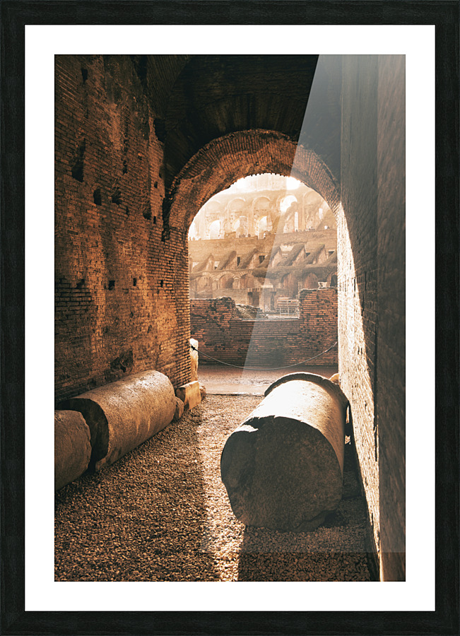 TLR 4930a Picture Frame print