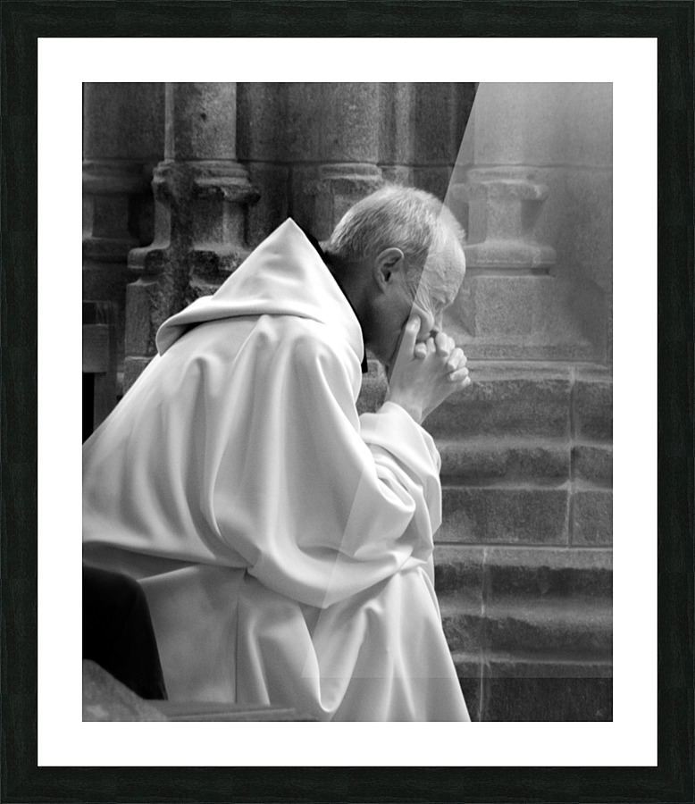 TLR 9234 copy Picture Frame print