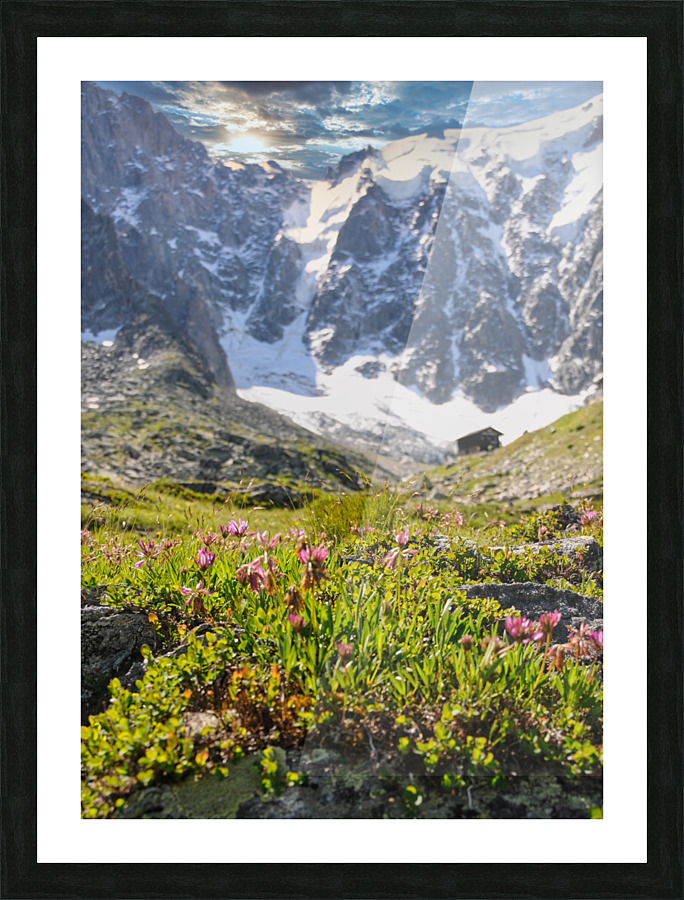 TLR 9539 Picture Frame print