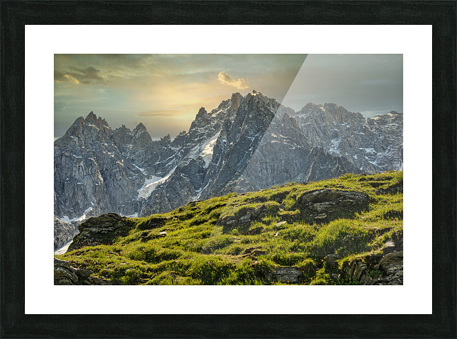 TLR 9555 Picture Frame print