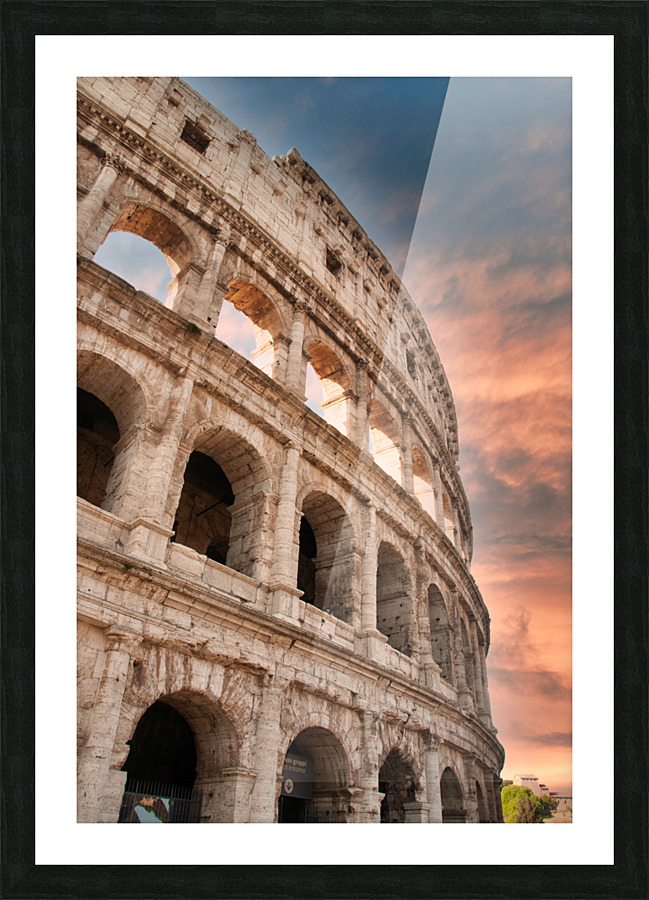 TLR 8929 Picture Frame print