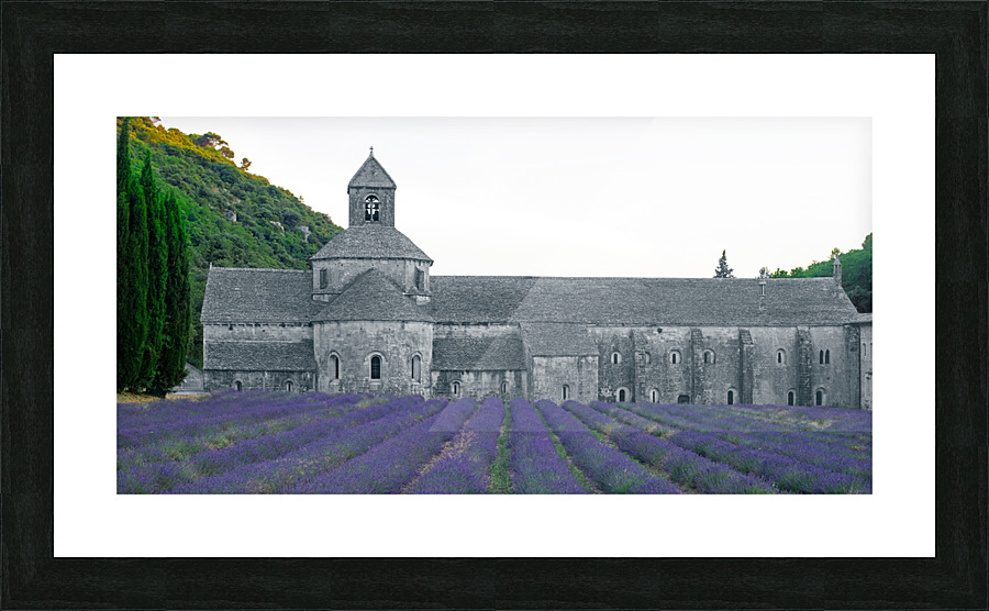  AMR8914a Picture Frame print