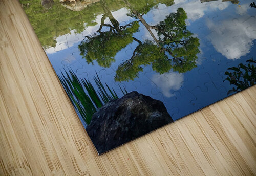 japan2 TLR puzzle