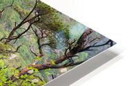 TLR 3106final HD Metal print