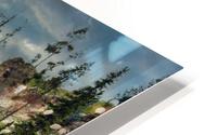 TLR 2092 HD Metal print