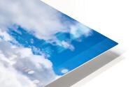 TLR 2105 HD Metal print