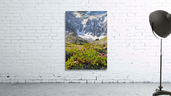 TLR 9539 Wall Preview
