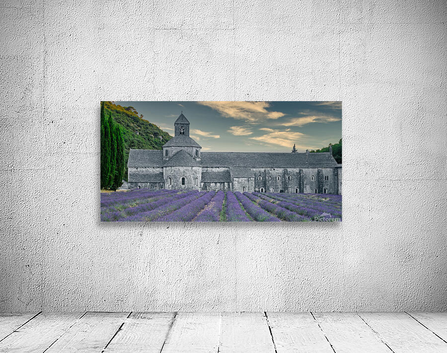 The Abby Wall Preview