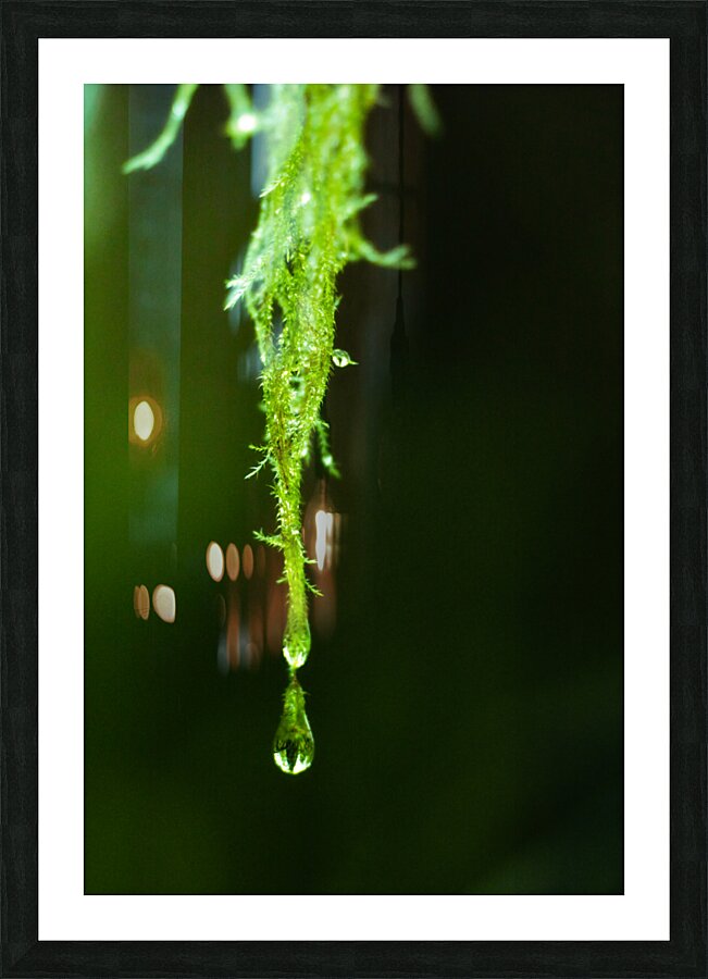 Water Drop Macro Picture Frame Printing