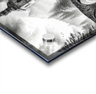 church bridge Acrylic print