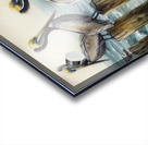 pelicans birds ocean wildlife Acrylic print