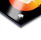 swan bird sun sunset nature morning landscape fly Acrylic print