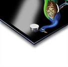 peacocks birds animals peafowls peafowls wildlife Acrylic print