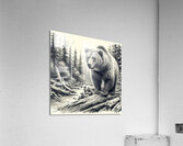 grizzly bear dangerous Acrylic Print