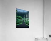 Green nature mountain road trees Acrylic Print