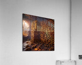 bees honey hymenoptera nature wings insect entomo Acrylic Print