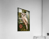 artistic owl vines plants flower decoration ornat Acrylic Print