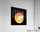 swan bird sun sunset nature morning landscape fly Acrylic Print