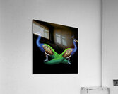 peacocks birds animals peafowls peafowls wildlife Acrylic Print
