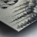 grizzly bear dangerous Metal print