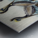 pelicans birds ocean wildlife Metal print