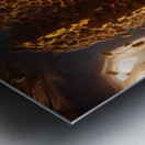 bees honey hymenoptera nature wings insect entomo Metal print