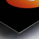 swan bird sun sunset nature morning landscape fly Metal print