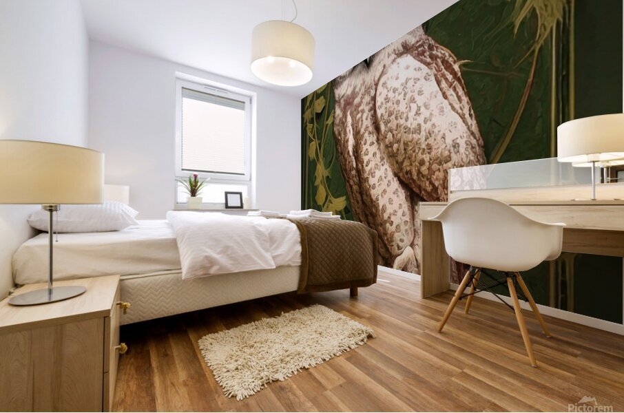 artistic owl vines plants flower decoration ornat Mural print