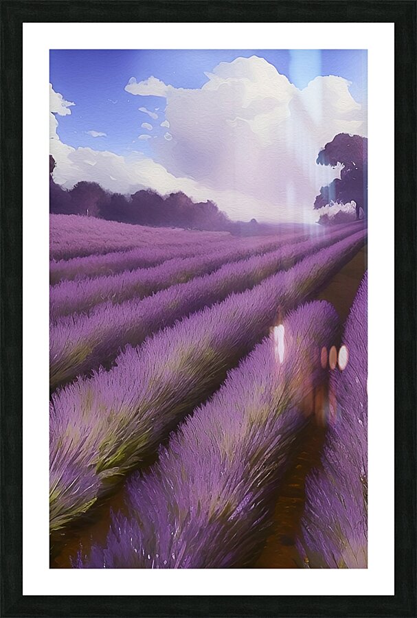 lavendar field nature setting landscape farm crop Picture Frame print