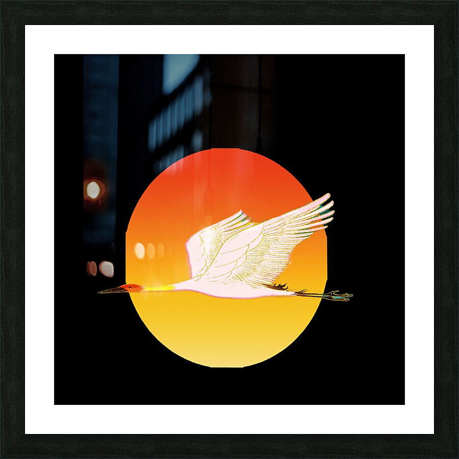swan bird sun sunset nature morning landscape fly Picture Frame print