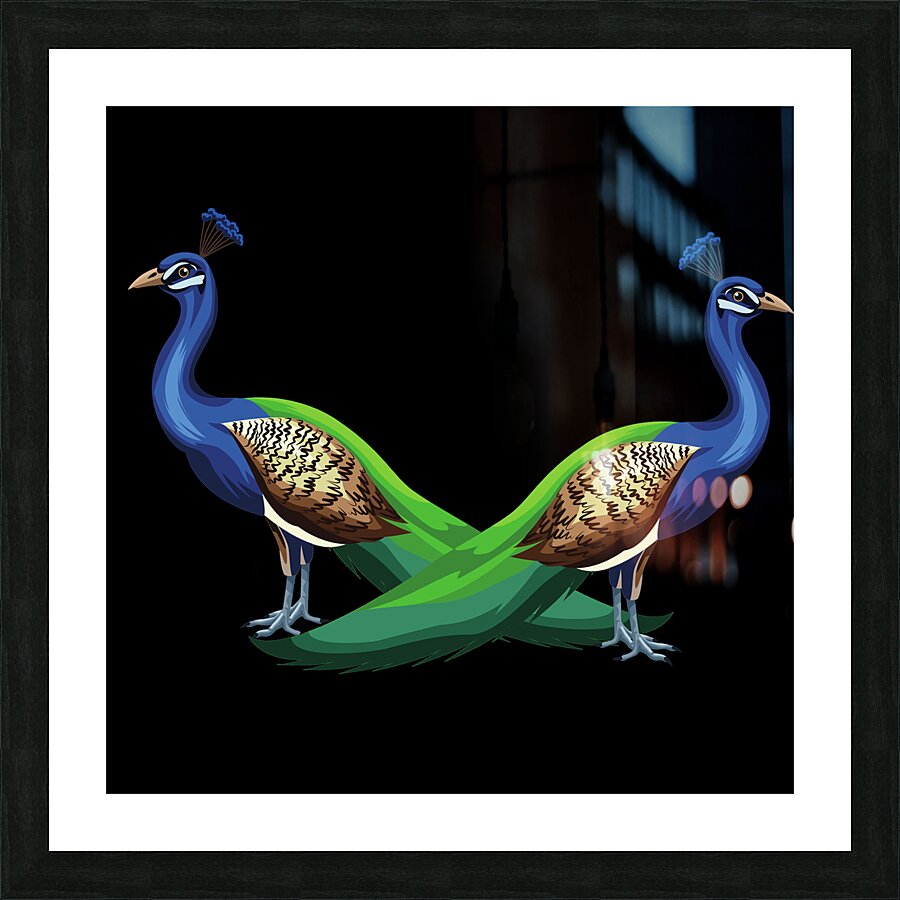 peacocks birds animals peafowls peafowls wildlife Picture Frame print