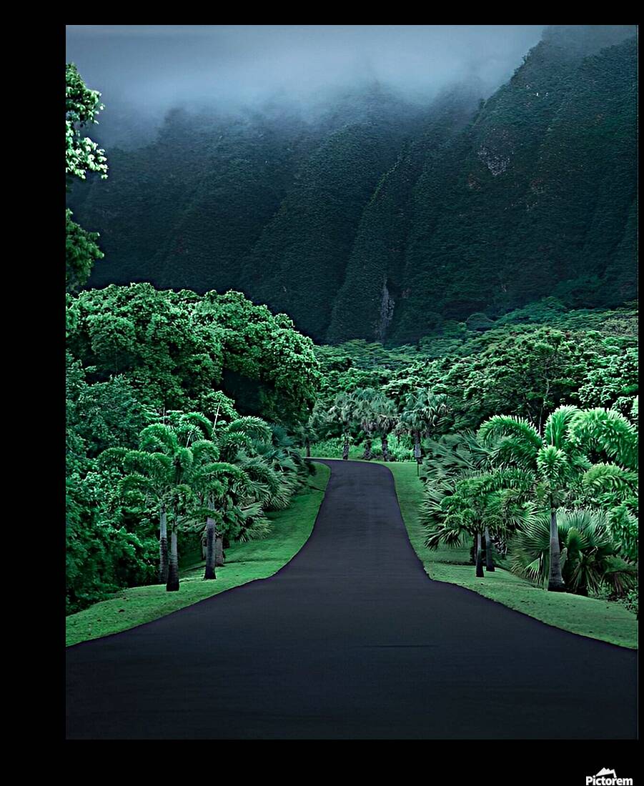 Green nature mountain road trees Reproduction