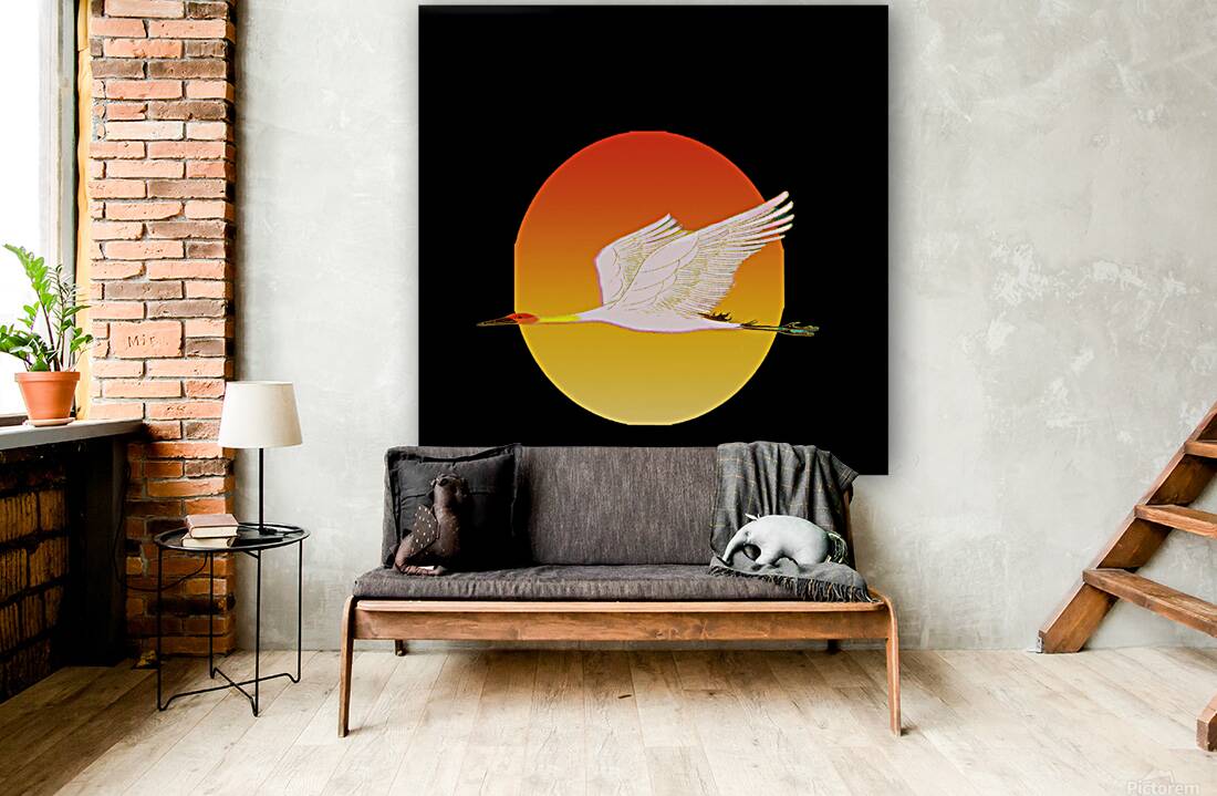 swan bird sun sunset nature morning landscape fly Reproduction