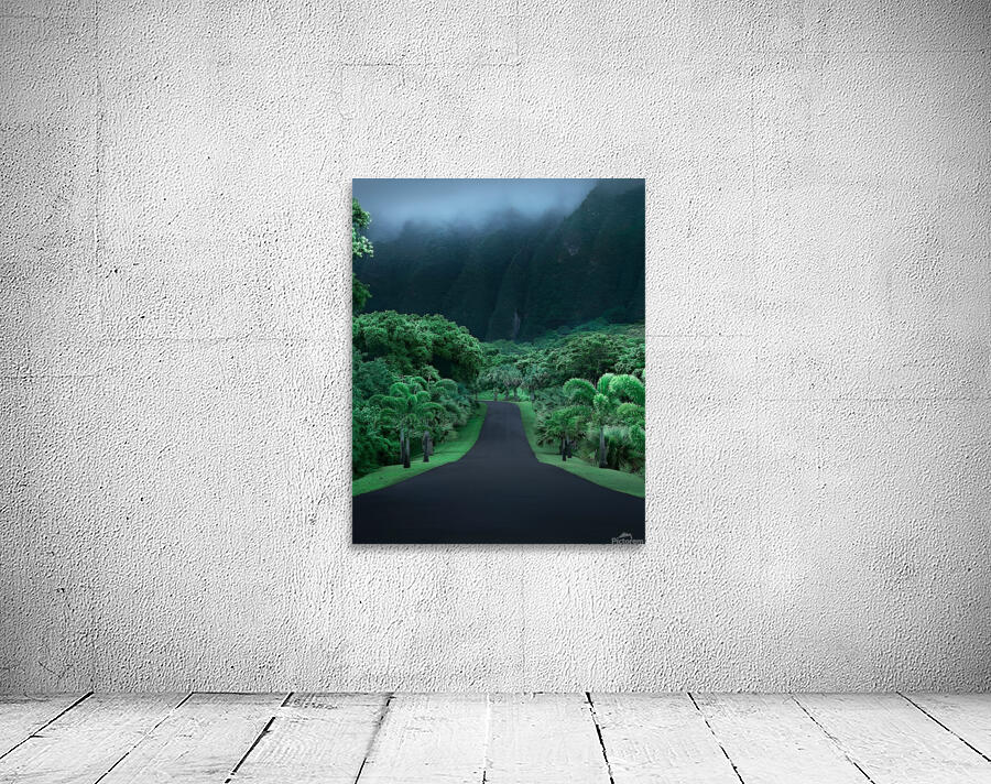 Green nature mountain road trees Wall Preview