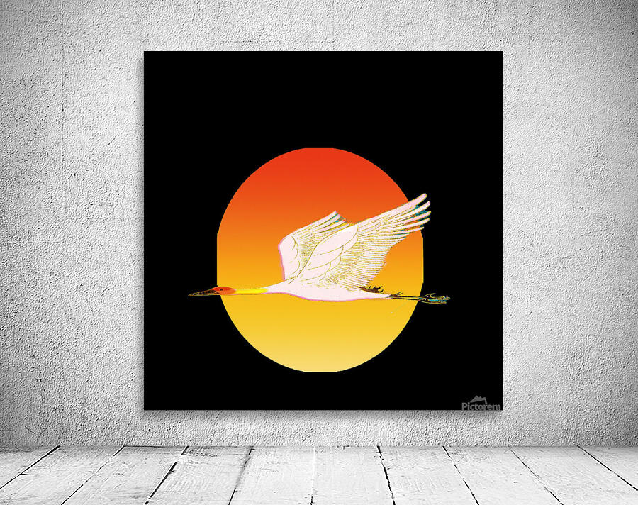 swan bird sun sunset nature morning landscape fly Wall Preview