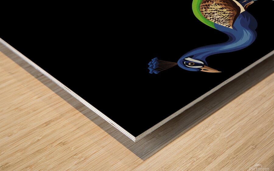 peacocks birds animals peafowls peafowls wildlife Wood print